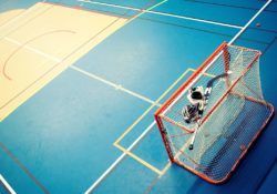 Cage et terrain de roller-hockey