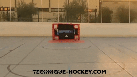 Michigan devant une cage de hockey - Technique Hockey